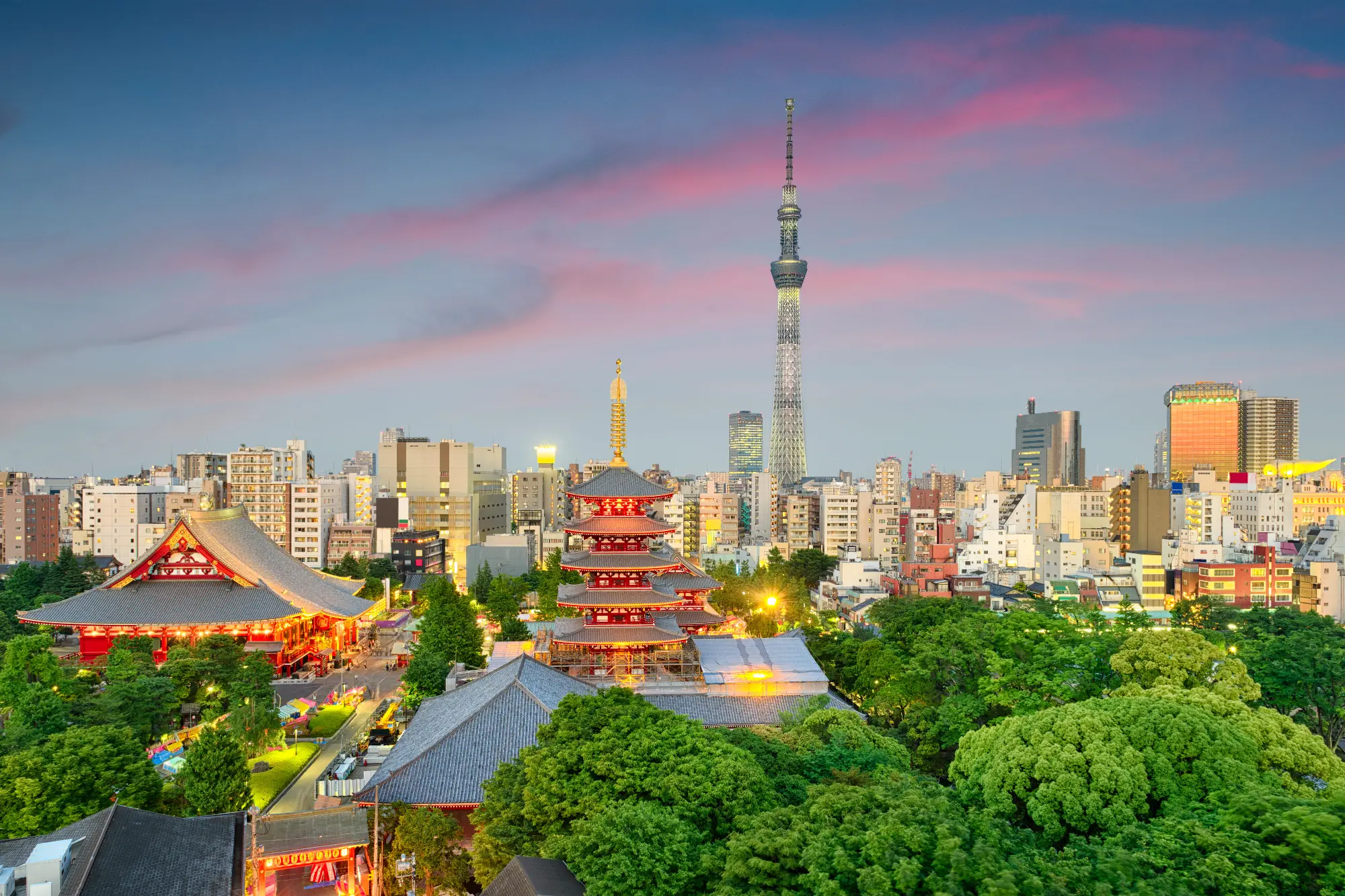 夕暮れ時の浅草の街並み。赤くライトアップされた五重塔と浅草寺の建物の背後に東京スカイツリーがそびえ、周囲には低層から高層までの建物が広がっている。